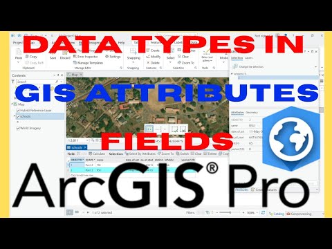 KyngTammy's tweet card. How to Set Data Types in ArcGIS Pro Attribute Table