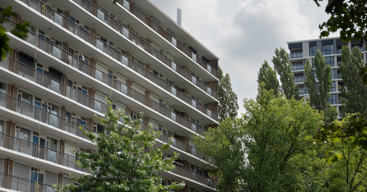 PJBoelhouwer's tweet card. Particuliere verhuurders verkopen massaal studentenhuizen door nieuwe belastingen en huurregels. Het gevolg: honderden studentenkamers verdwijnen, terwijl het tekort aan betaalbare woonruimte verder...