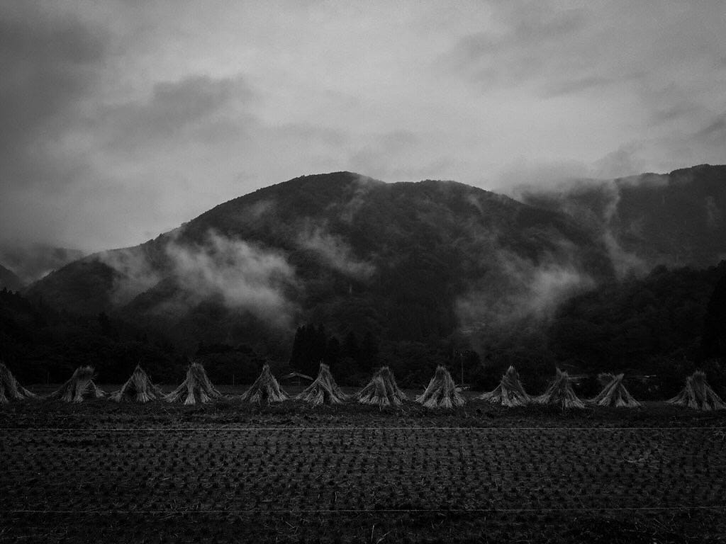 makertime's tweet card. How and why we walk and how to walk better