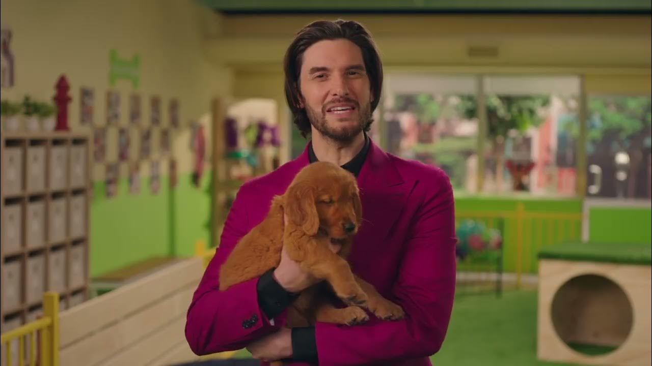 devito_steve's tweet card. Q2 25 TMO Family Freedom 4 up to 800 4 iPhones 4 for 25 Puppies 30 |...