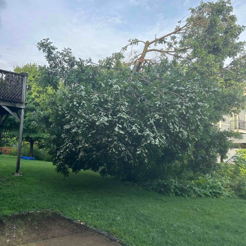 TheControllerDJ's tweet card. MOW DOWN