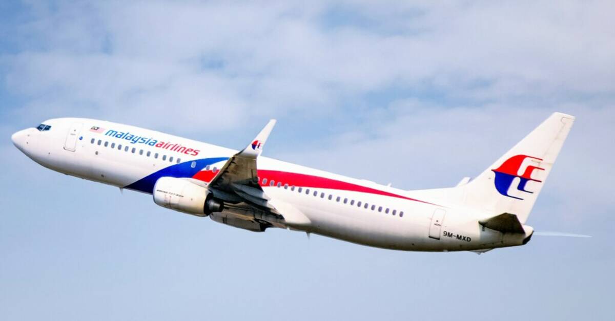 AlertesInfos's tweet card. Dix ans après la disparition du vol MH370 de la Malaysian Airlines, un scientifique australien affirme avoir localisé l’épave de l’appareil. Sel...