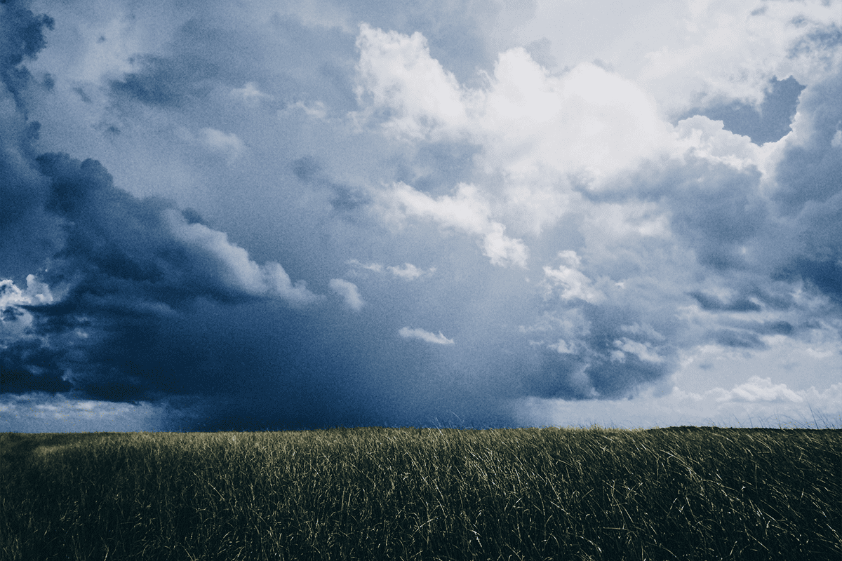 YourRoots1776's tweet card. Gov. Ron DeSantis signed a bill Friday that bars geoengineering and weather modification activities in the state.