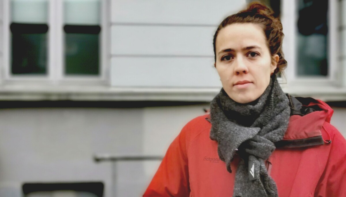 safinadeklerk's tweet card. Forskerforbundet og Akademikerne streiker nå for enda større ulikhet. Hvordan havnet vi her?