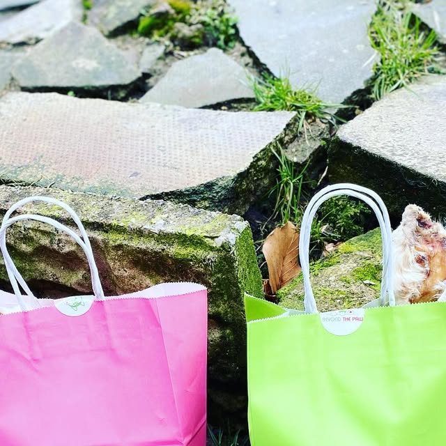 beyond_paw's tweet card. Beyond The Paw (@beyond.the.paw) • Instagram photo