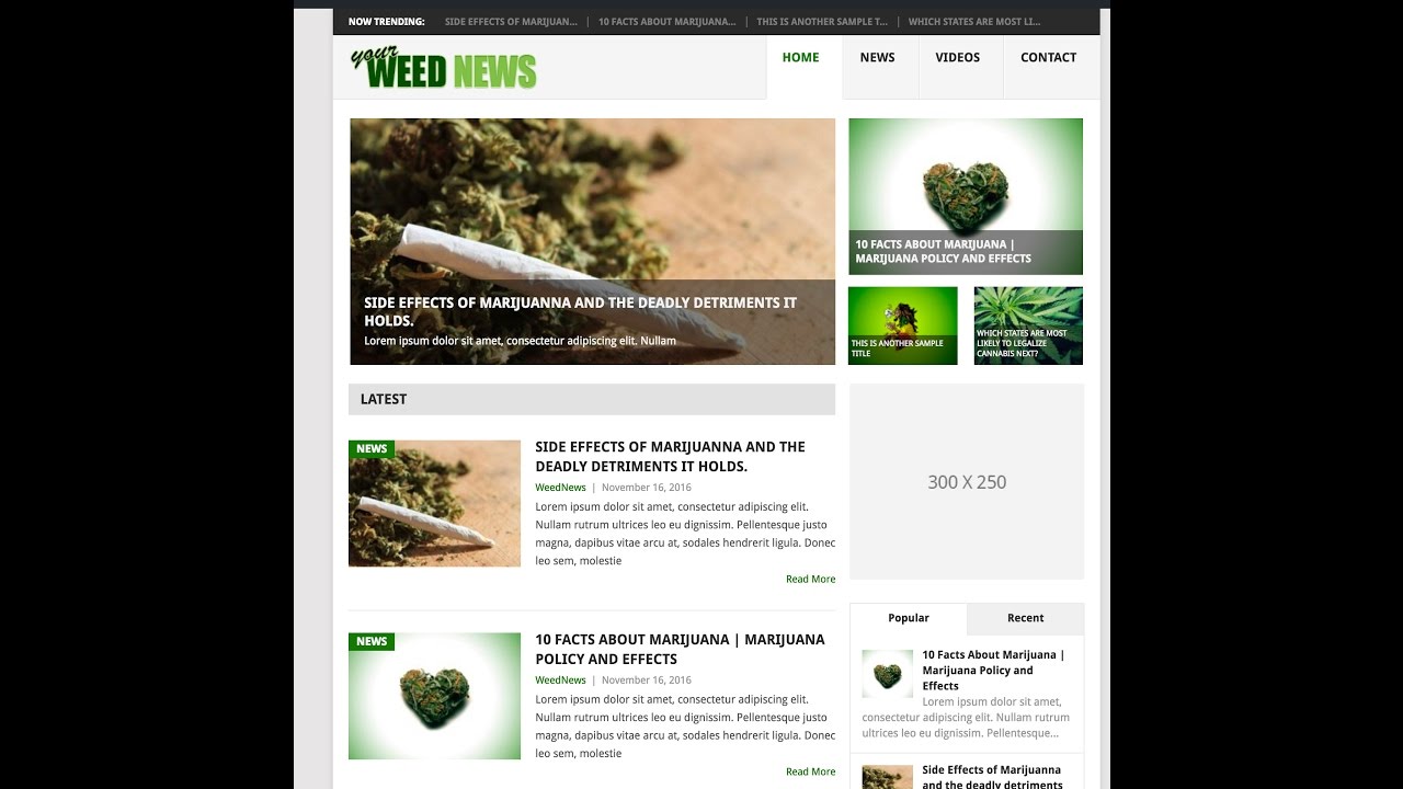 Overnight_Coder's tweet card. Creating a blog or news site using Wordpress, Free theme, Monetizing...