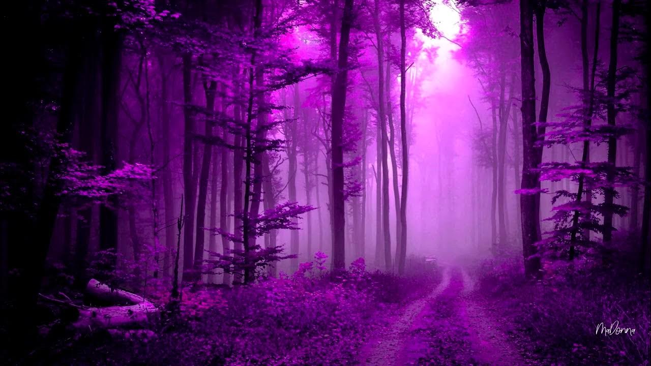 VVBald's tweet card. Melodic Hard Techno & Schranz mix 14 (Mixed by VVBald)