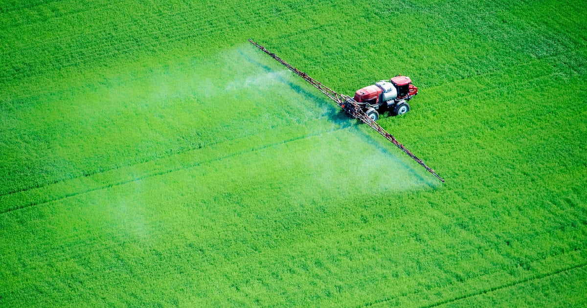 ProjectTENDR's tweet card. Pediatricians warned that keeping it on the market put "all children at risk."