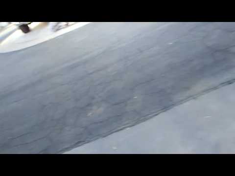 PsychobabbleLyn's tweet card. Palm Trees WIND GUSTS in Mesa AZ