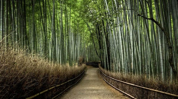 Appsynth's tweet card. Most successful projects have a single engineer responsible for driving the project forward while ensuring that strong technical decisions…