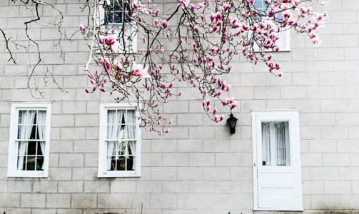 Kimmcripps2's tweet card. Having a fresh start, no matter the time of year, is always a plus — especially if you are getting ready to sell your home or you just moved into a brand new home. To help brighten up your space, I...