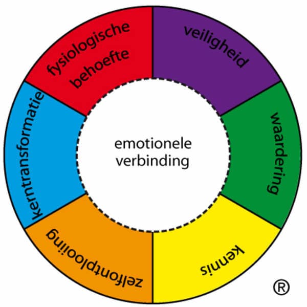kwakzalverij's tweet card. Het is een geloof, paarden die helpen trauma’s te verwerken, ook al voor de geboorte. Hier de namen van kwakzalvers.