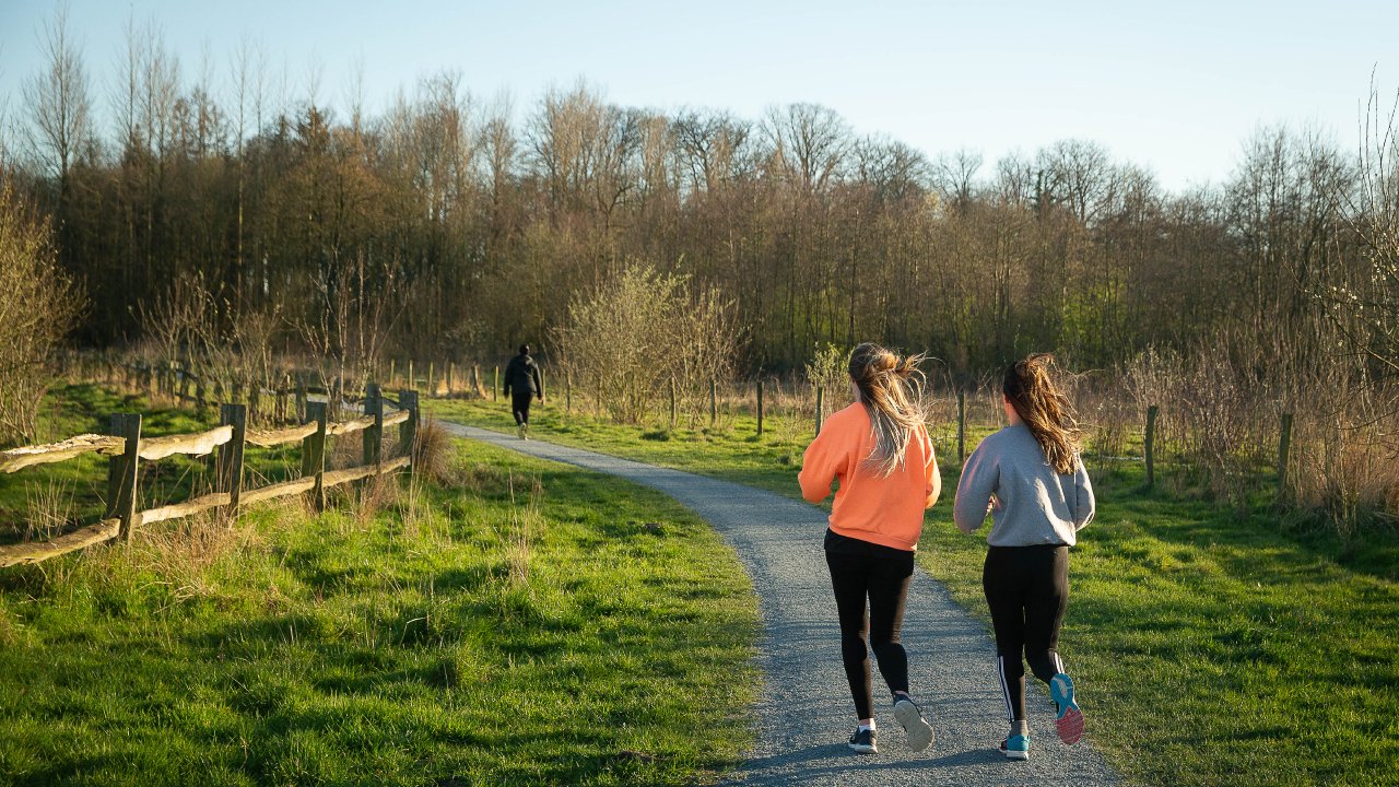 cedricweb's tweet card. Het risicokapitaalfonds Sequoia stuurde een maand geleden zijn start-ups de waarschuwing: 'de zwarte zwaan komt eraan'. Ondertussen zitten we al vier weken thuis en is het einde nog niet in zicht....