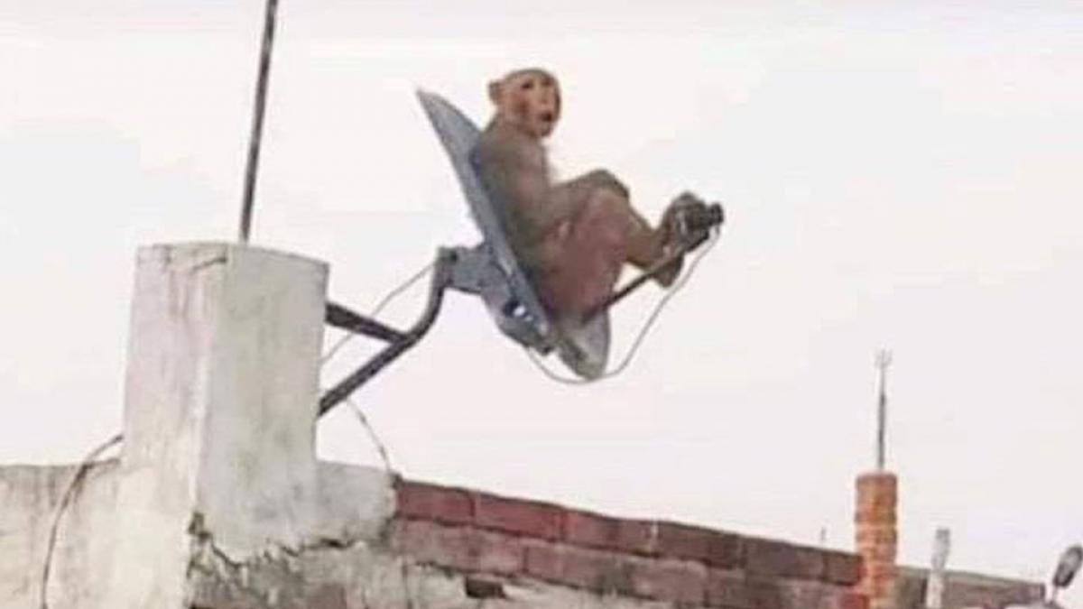 aajtak's tweet card. इस प्रतियोगिता में हिस्‍सा लेने के लिए सिर्फ 11 अक्‍टूबर यानी कल तक का समय बचा है.. आइए इस प्रतियोगिता के बारे में विस्‍तार से जानते हैं.