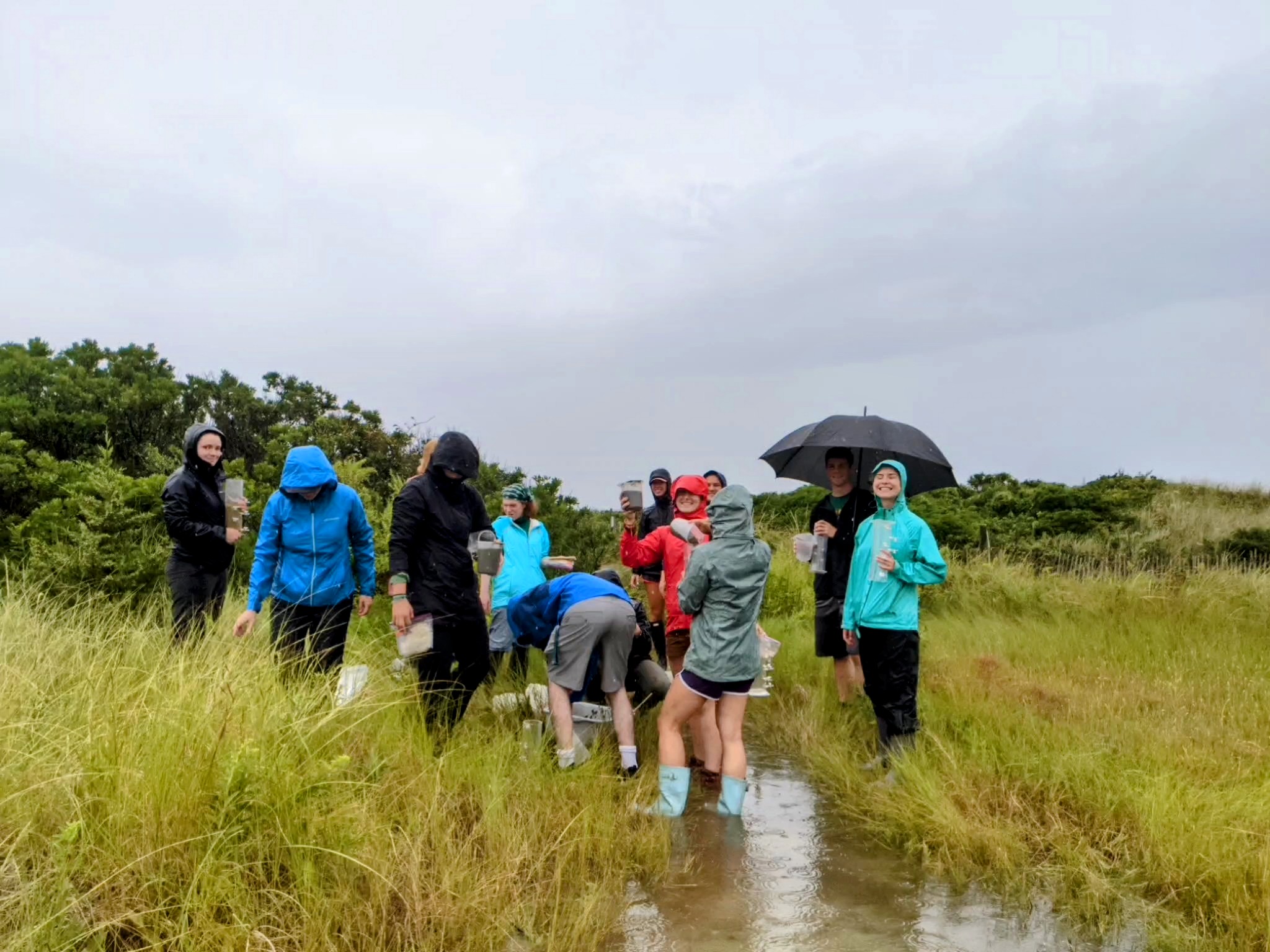 MBLScience's tweet card. The MBL’s Semester in Environmental Science (SES) is a 15-week program that provides intensive field and laboratory-based learning opportunities to better understand ecosystem science and the...