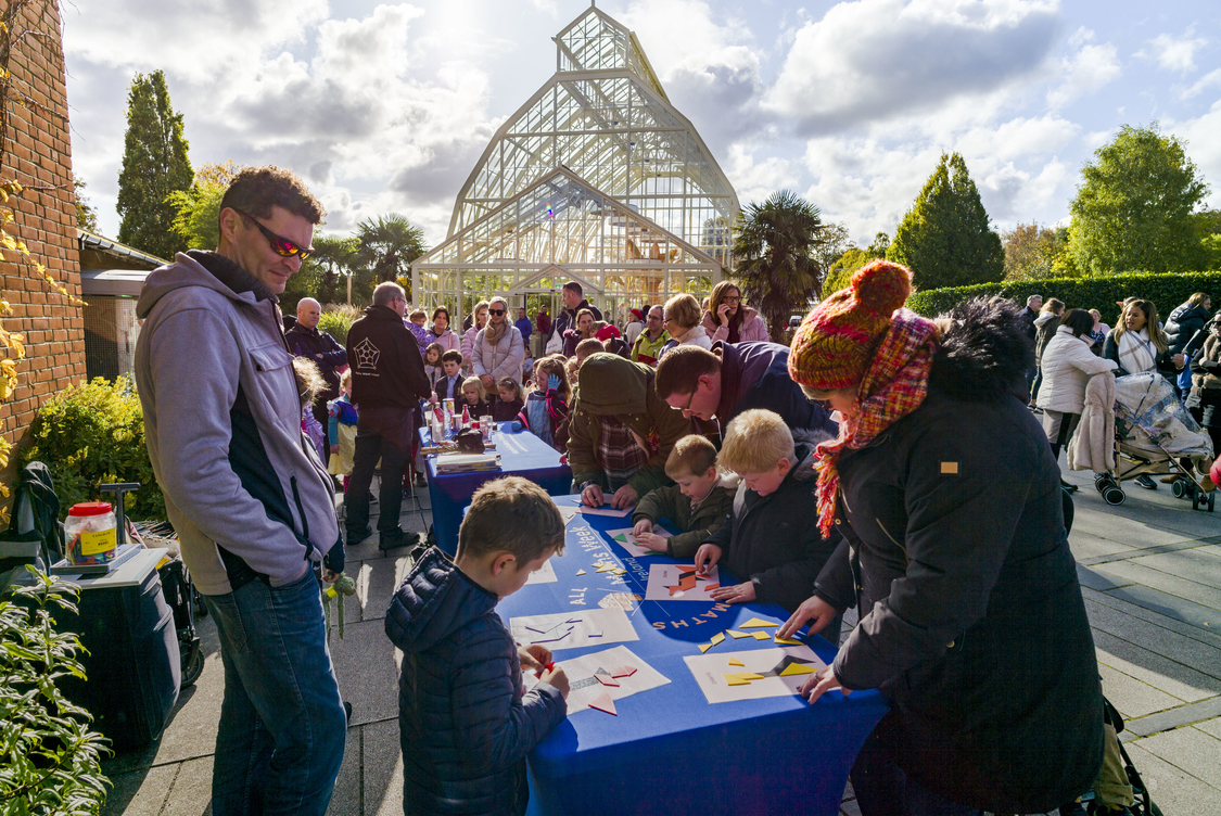 mathsweek's tweet card. Maths Week will take place from 11 - 29 Oct. 2025. We will have events and activities for all the family. Visit MathsWeek.ie for more info MATHS WEEK IRELAND