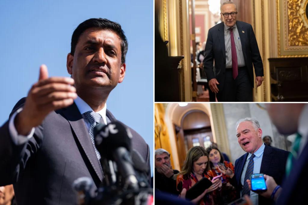 RoKhanna's tweet card. "Chris Murphy is a top leader. Cory Booker is a dynamic leader. Brian Schatz is a dynamic leader. I mean, Elizabeth Warren is someone whose ideology I appreciate," Khanna said when asked for the...