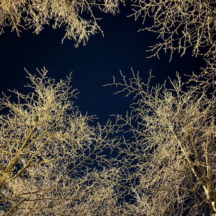 SettsuyaFuuan's tweet card. 雪に込めたさよなら