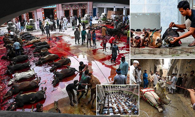 DailyMail's tweet card. Eid al-Adha commemorates Muslims' belief that Abraham was willing to sacrifice his son as an act of obedience to God, before God replaced his son with a ram to be sacrificed instead.