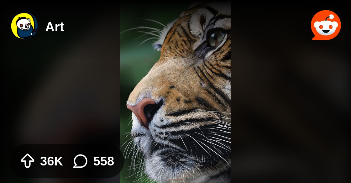 Charlie_Web_Dev's tweet card. Explore this post and more from the Art community