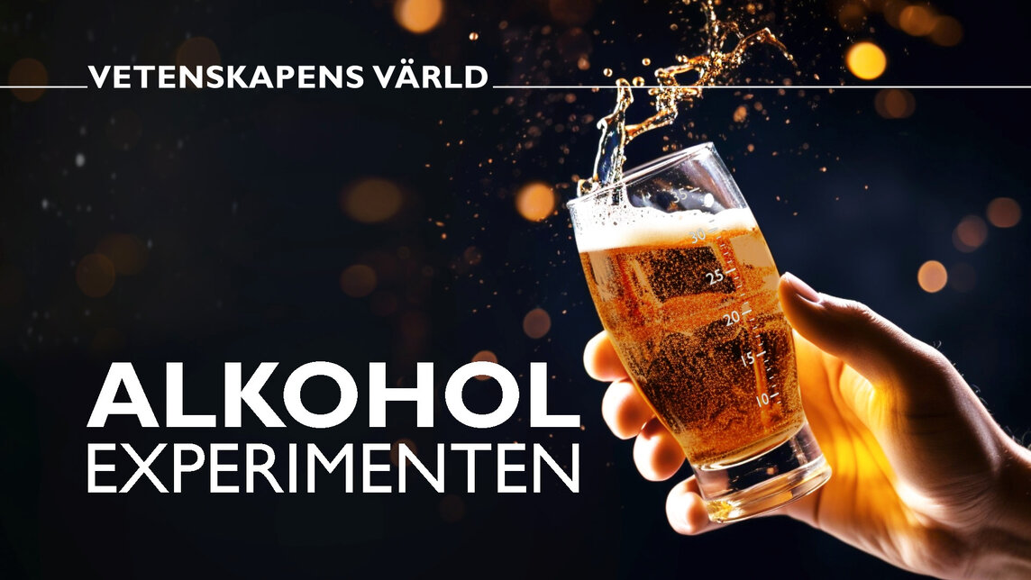 CSAN_LiU's tweet card. Vissa råttor kan tänka sig att utstå en elstöt för att få en slurk alkohol. Vi förstår nu alltmer varför vissa (men inte andra) blir beroende av alkohol. Forskarna utvecklar nu också nya smartare...