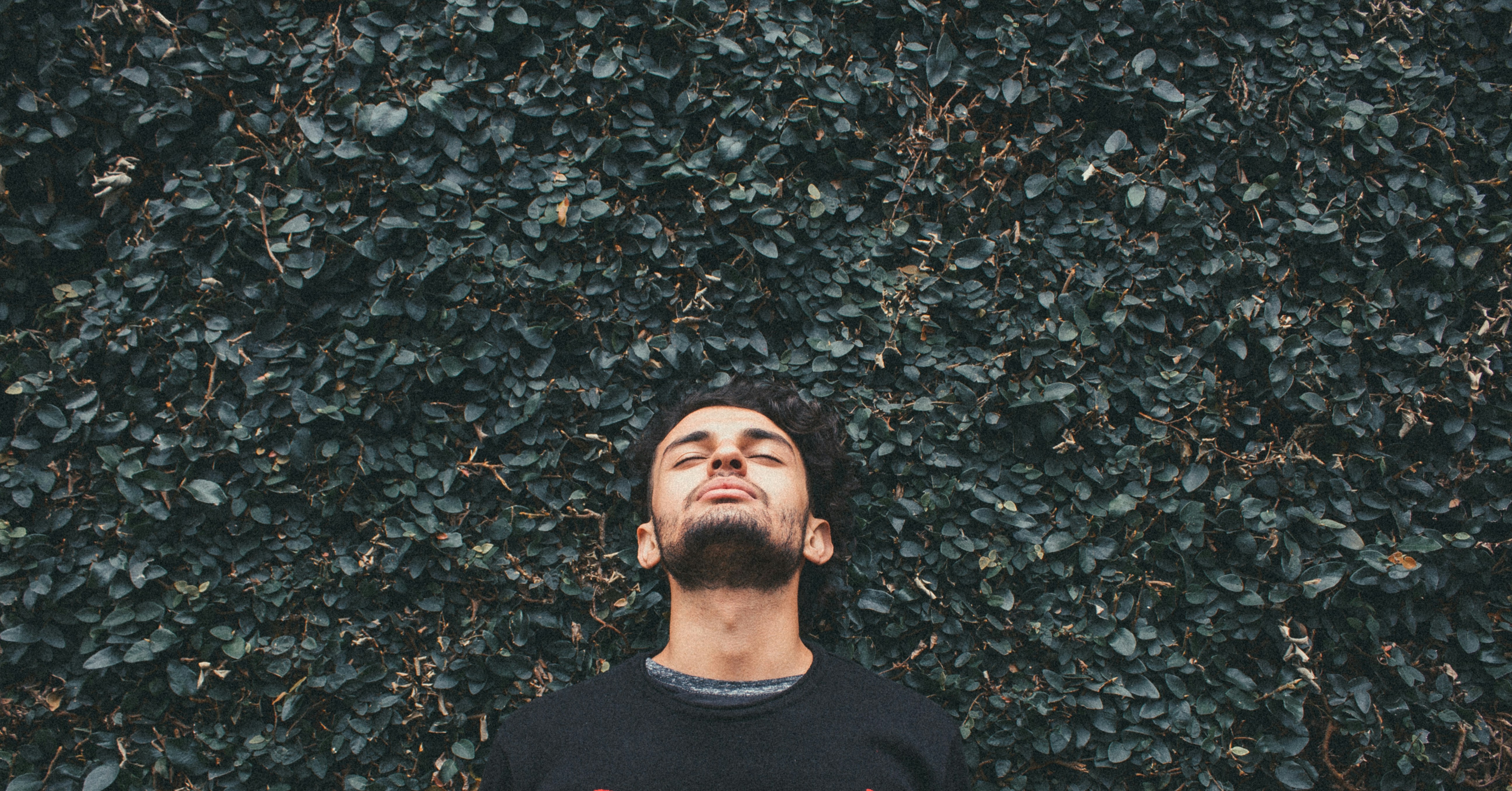 holliebiscotti's tweet card. A Field Guide for Journalists, Educators, Doctors and anyone else who wants to know how to better communicate about Autism.