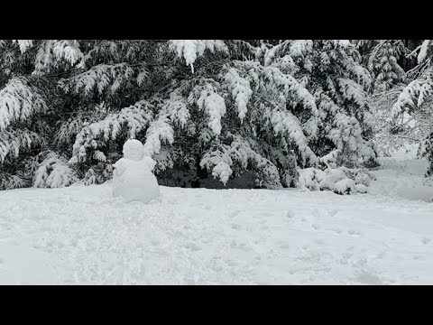 CVGuide's tweet card. Snowy Family Day 2021