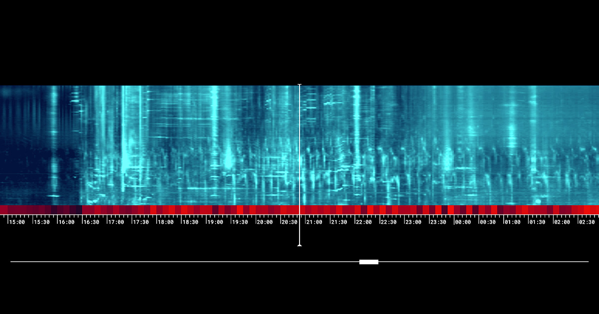 jasonfarrell's tweet card. Use AI to explore thousands of hours of humpback whale songs and make your own discoveries