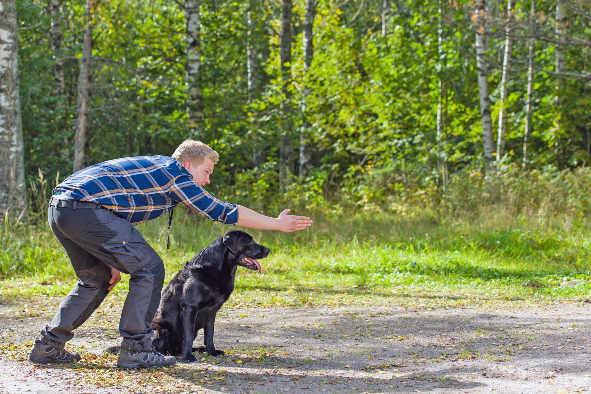 WholeDogJournal's tweet card. Dog's can respond better to hand signals than verbal cues, meaning dog sign language is a viable option for training any dog.