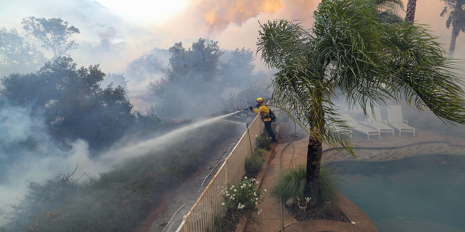 Sammy_Roth's tweet card. The U.S. Forest Service has paused controlled burns nationwide to protect personnel and reduce air pollution amid COVID-19. Cal Fire has yet to follow