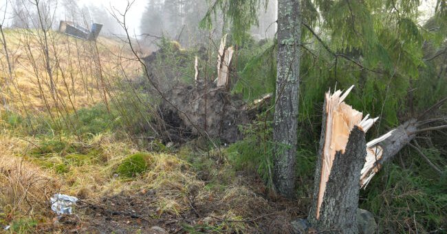 Tweet card summary image