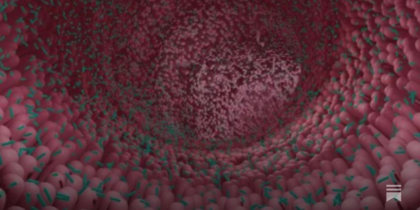 PierreKory's tweet card. Before the world fixated on probiotics and prebiotics, minerals quietly built the microbiome itself. Maybe we wouldn’t need so many “gut hacks” if we just restored the minerals first.