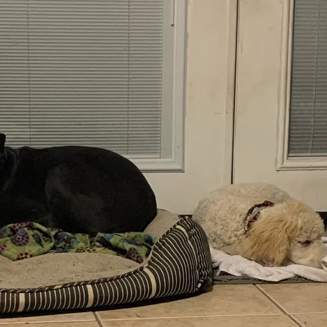 presentation4's tweet card. Kindness Deserves-It (@kembawhitedupree) • Instagram photos and videos