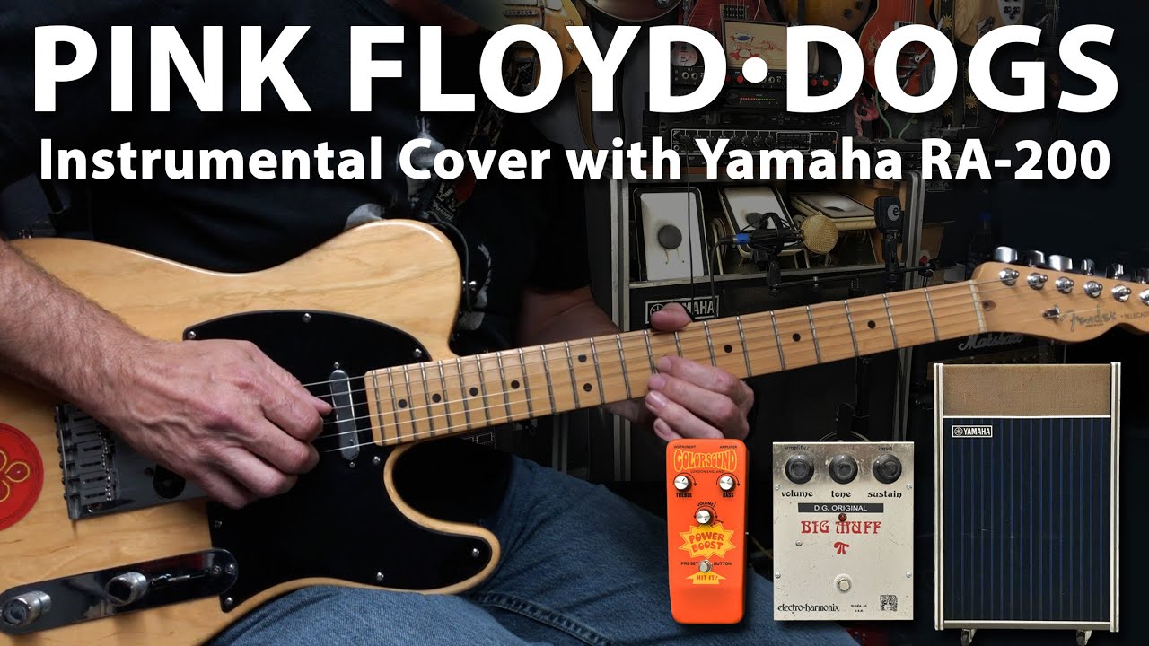 CSDevAr's tweet card. Pink Floyd Dogs Instrumental Cover with RA-200