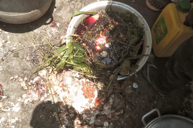 workinprocess__'s tweet card. 💬 0  🔁 8  ❤️ 22 · Homowo : The Twins Festival The Basin A basin is filled with some of the blood and a few parts of the sacrificed animal—head, feet, cassava peels, libation, coins and local he…