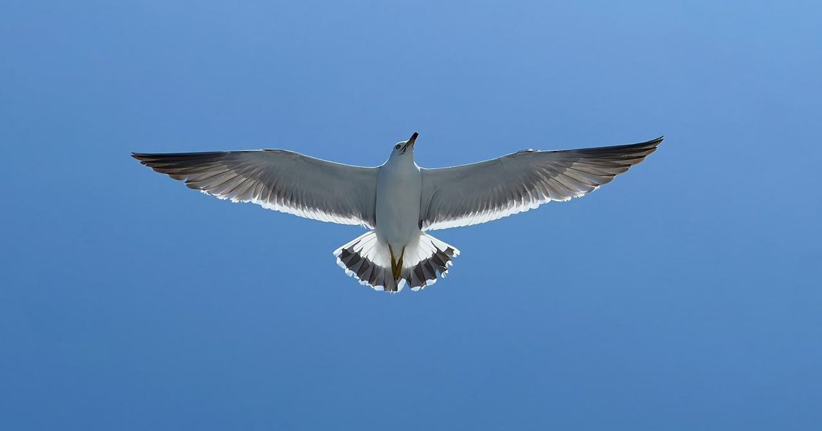 jun_shiba_'s tweet card. 私たち、RePath株式会社は前身の会社から事業譲渡をして出来た会社です。「RePath（リーパス）」という社名には、「Re＝再び・新たに」と「Path＝道筋・方向」という意味が込められています...