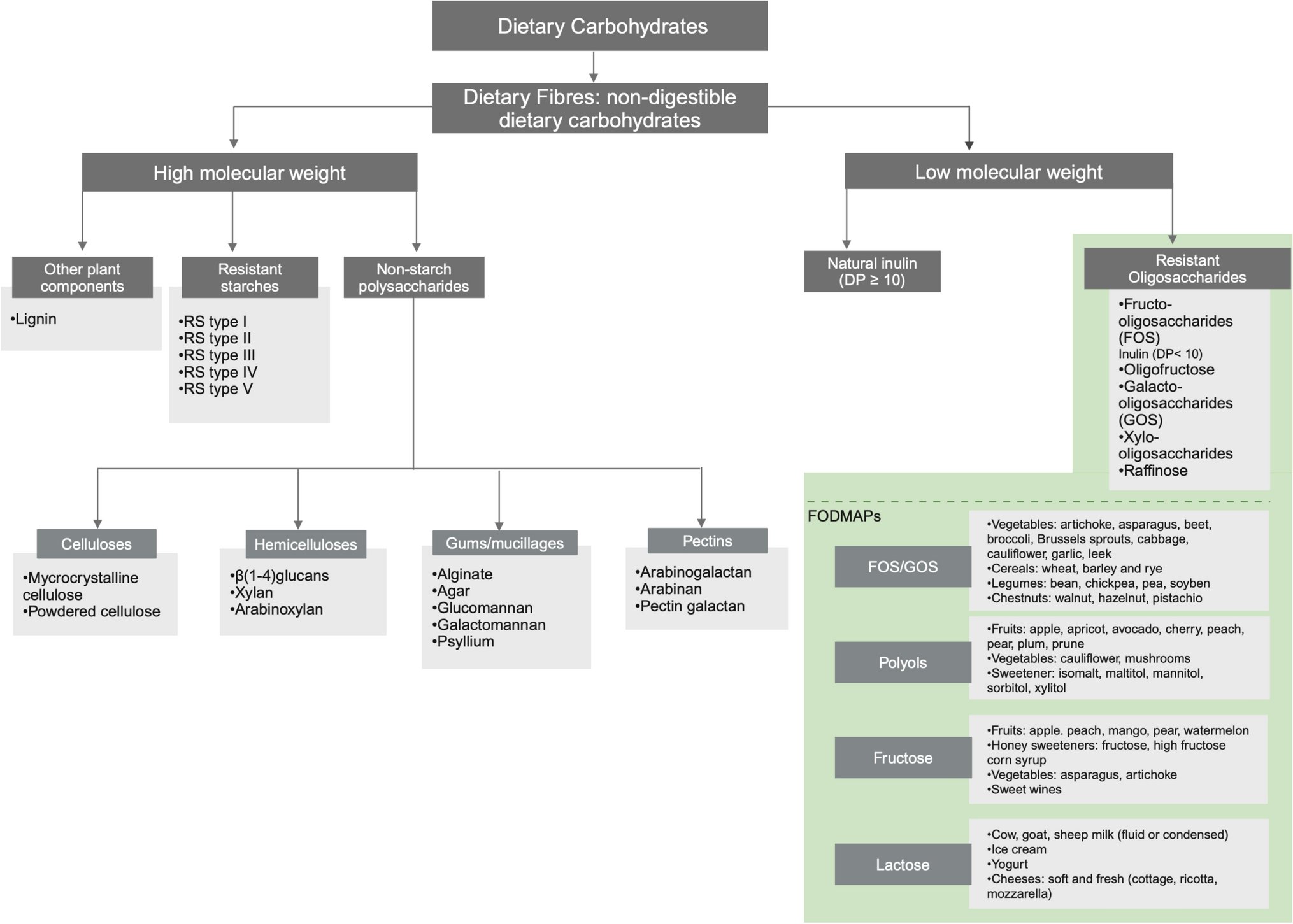 EatsleepfitJeff's tweet card. Sports Medicine - Although dietary guidelines concerning carbohydrate intake for athletes are well established, these do not include recommendations for daily fibre intake. However, there are many...