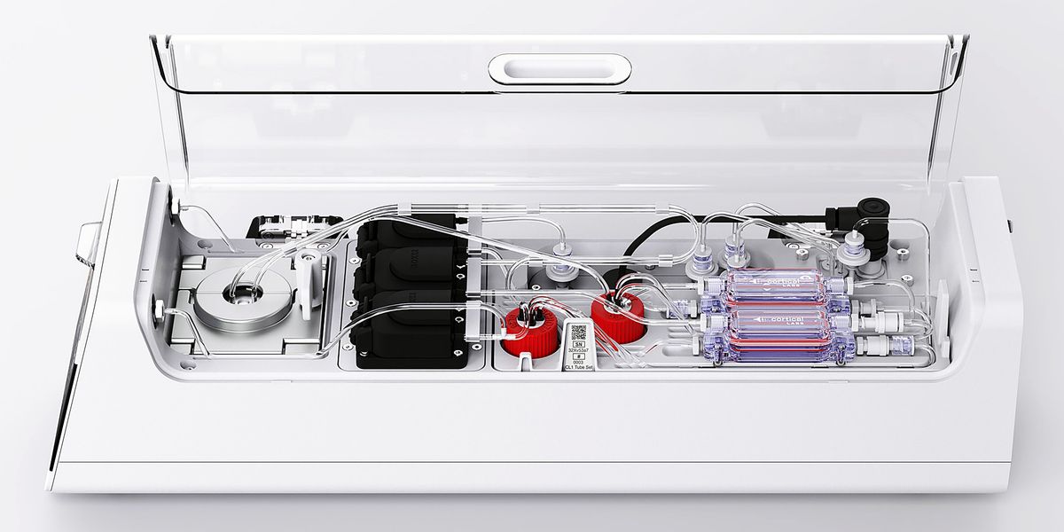 AQuerquennis's tweet card. Australian startup Cortical Labs unveils CL1, a groundbreaking biocomputer using human neurons on silicon chips. This fusion offers real-time learning and adaptation, revolutionizing neuroscience and...