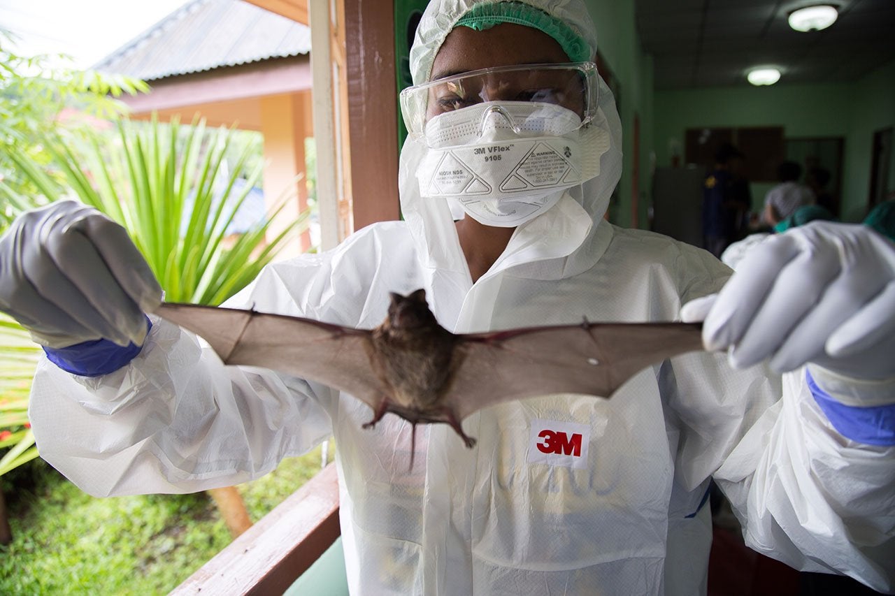 csharp04's tweet card. Tufts University to lead $100M program to reduce risk of zoonotic viral spillover, spread