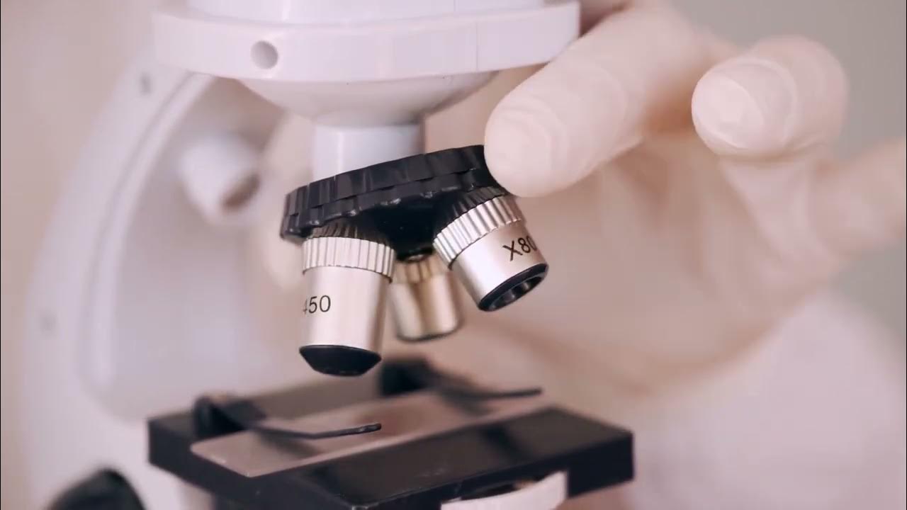 MicroscopePro's tweet card. Parts of a Compound Microscope!