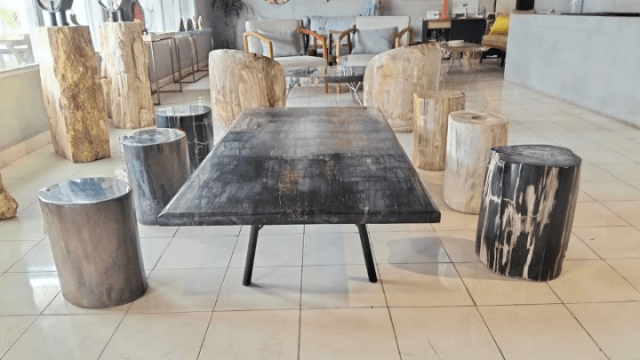 indogemstone's tweet card. Crafted from genuine wood fossils, this petrified wood dining table delivers lasting elegance for luxury residential and commercial interiors