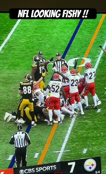 BengalsGenius's tweet card. Ridiculous call in Bengals/Steelers game