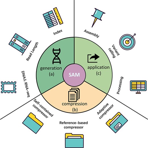 jsantoyo's tweet card. Abstract. The Sequence Alignment/Map (SAM) format file is the text file used to record alignment information. Alignment is the core of sequencing analysis,