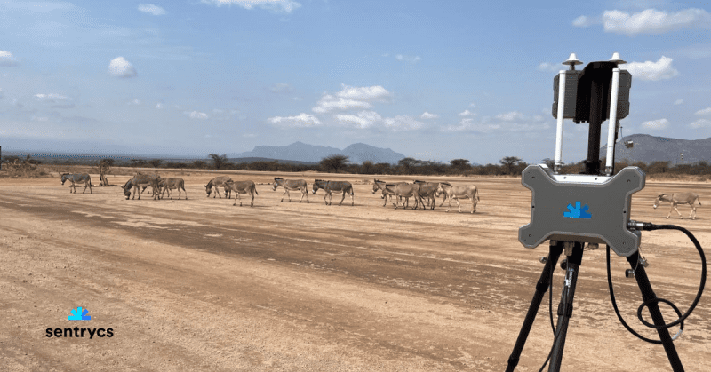 militaryafrica's tweet card. Sentrycs, a global leader in counter-UAS solutions, has been selected for a critical national security project in Africa, further strengthening its position as a trusted provider of advanced counte…