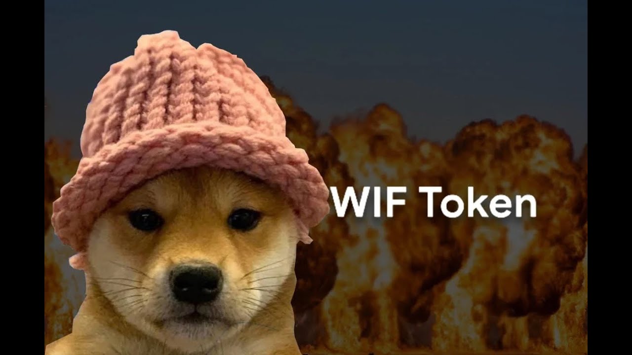 CRYPTOcINVESTOR's tweet card. WIF coin price targets 2024 - WIF token review