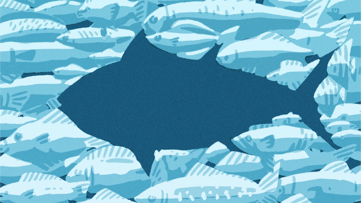 SeafoodWatch's tweet card. Served nearly everywhere to sushi lovers, whether or not we should be eating bluefin tuna still is still hotly debated among consumers and conservation experts alike.