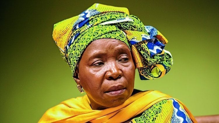 garythegame's tweet card. Nkosazana Dlamini Zuma should step down