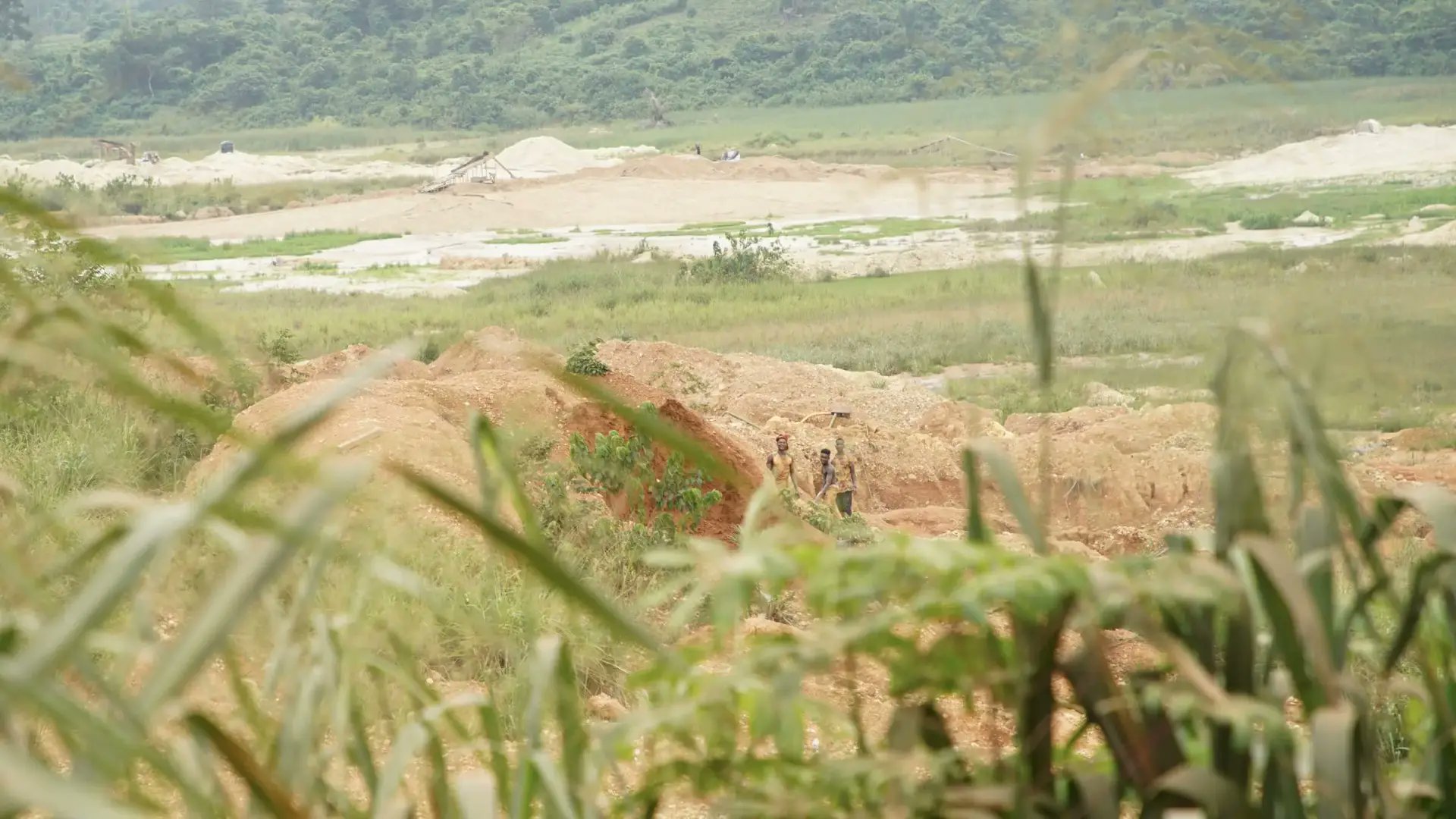 reporters_co's tweet card. Ghana’s gold rush is leading to poisoned waterways, destroyed forests and journalists under attack. Ghana’s government has legitimised the sale of illegal gold. Indian traders have taken advantage of...