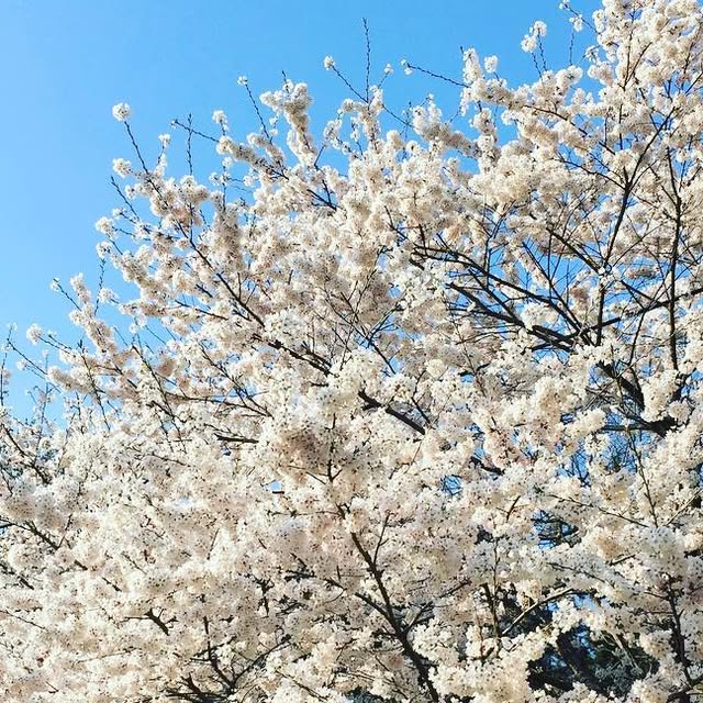 comacego's tweet card. 컴에이스 (@comace) • Instagram photo