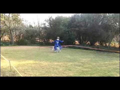 DancingDogs_CPT's tweet card. MargyRoxy All